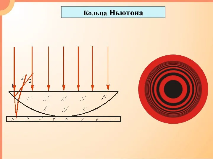 Кольца Ньютона