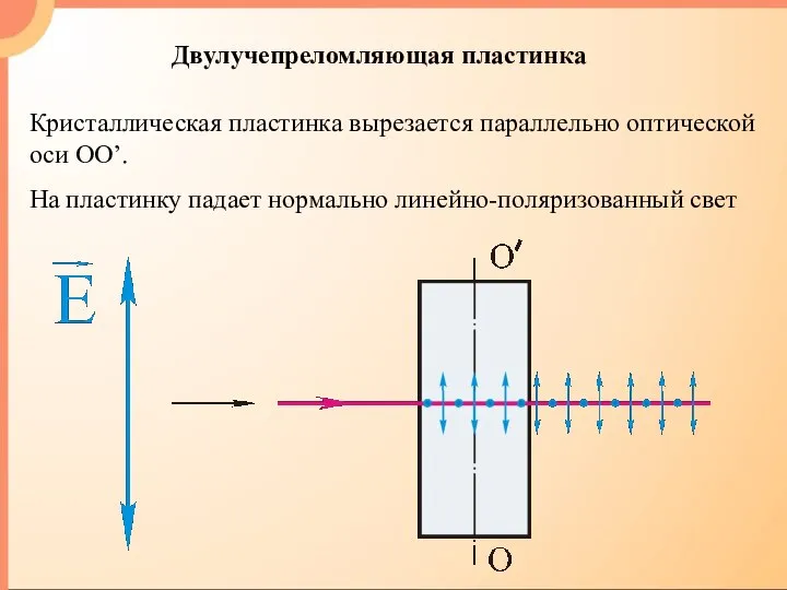 Двулучепреломляющая пластинка Кристаллическая пластинка вырезается параллельно оптической оси ОО’. На пластинку падает нормально линейно-поляризованный свет