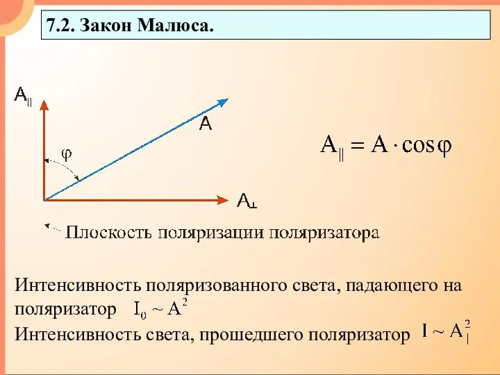 7.2. Закон Малюса.