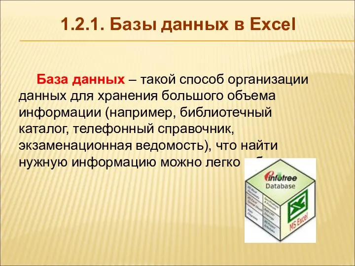 1.2.1. Базы данных в Excel База данных – такой способ организации