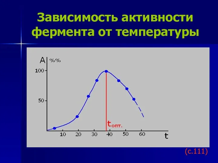 Зависимость активности фермента от температуры (с.111)