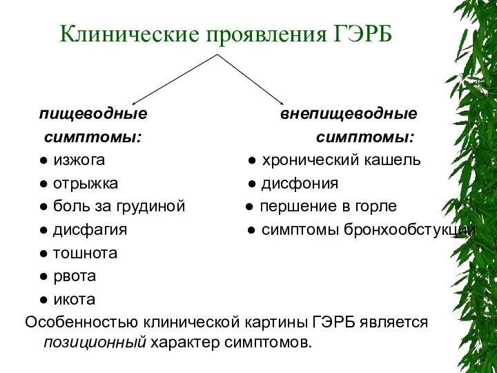 пищеводные внепищеводные симптомы: симптомы: ● изжога ● хронический кашель ● отрыжка