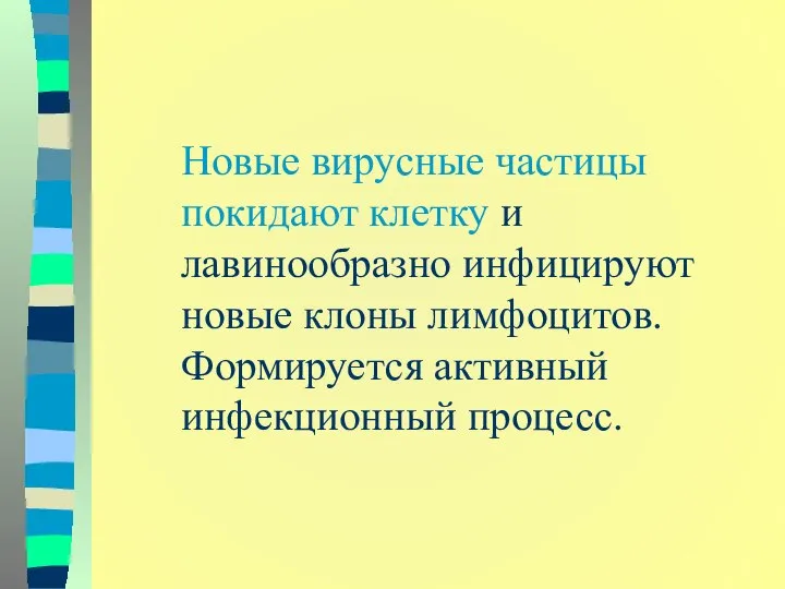 Новые вирусные частицы покидают клетку и лавинообразно инфицируют новые клоны лимфоцитов. Формируется активный инфекционный процесс.