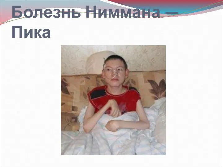 Болезнь Ниммана — Пика