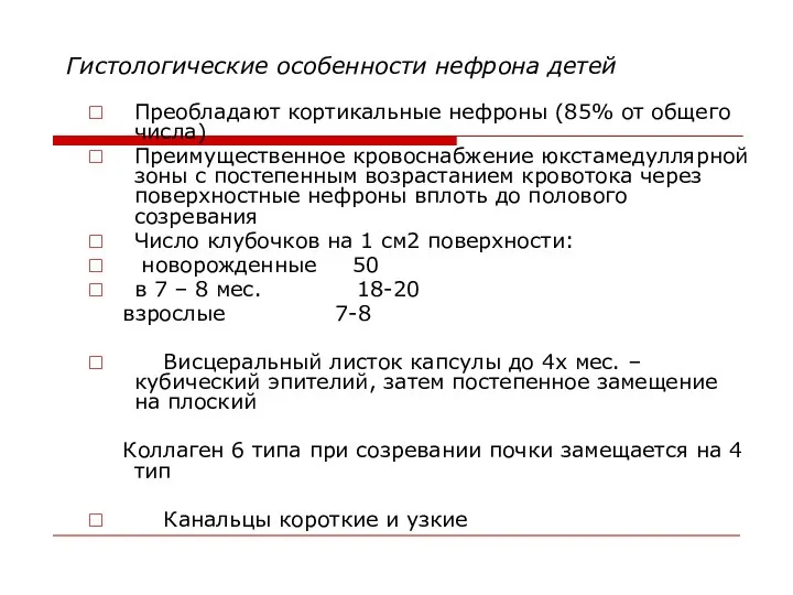 Гистологические особенности нефрона детей Преобладают кортикальные нефроны (85% от общего числа)