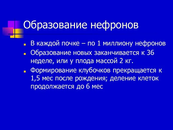 Образование нефронов В каждой почке – по 1 миллиону нефронов Образование