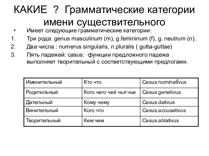 КАКИЕ ? Грамматические категории имени существительного Имеет следующие грамматические категории: Три