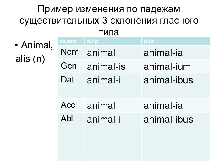 Пример изменения по падежам существительных 3 склонения гласного типа Animal, alis (n)