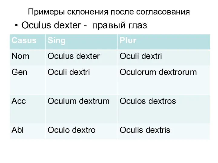 Примеры склонения после согласования Oculus dexter - правый глаз