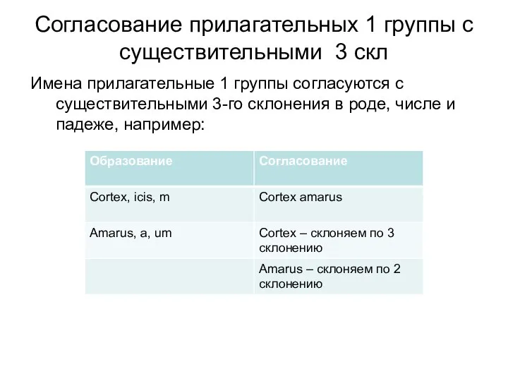 Согласование прилагательных 1 группы с существительными 3 скл Имена прилагательные 1