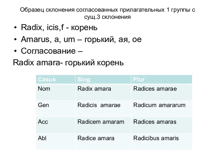 Образец склонения согласованных прилагательных 1 группы с сущ.3 склонения Radix, icis,f