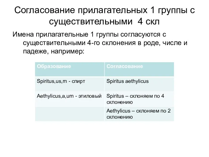 Согласование прилагательных 1 группы с существительными 4 скл Имена прилагательные 1