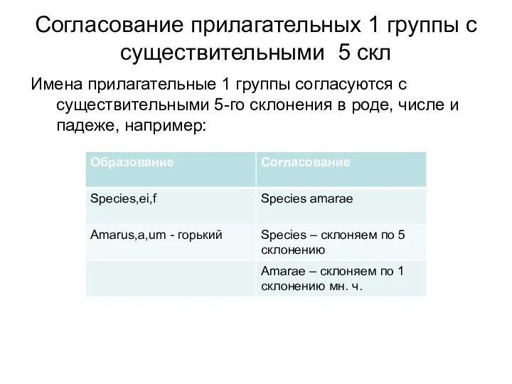 Согласование прилагательных 1 группы с существительными 5 скл Имена прилагательные 1