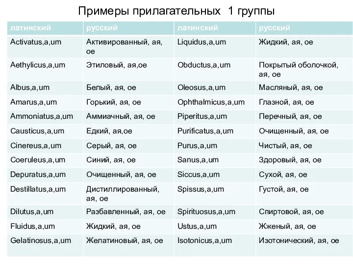 Примеры прилагательных 1 группы