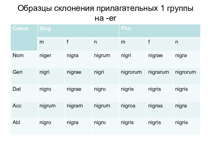 Образцы склонения прилагательных 1 группы на -er