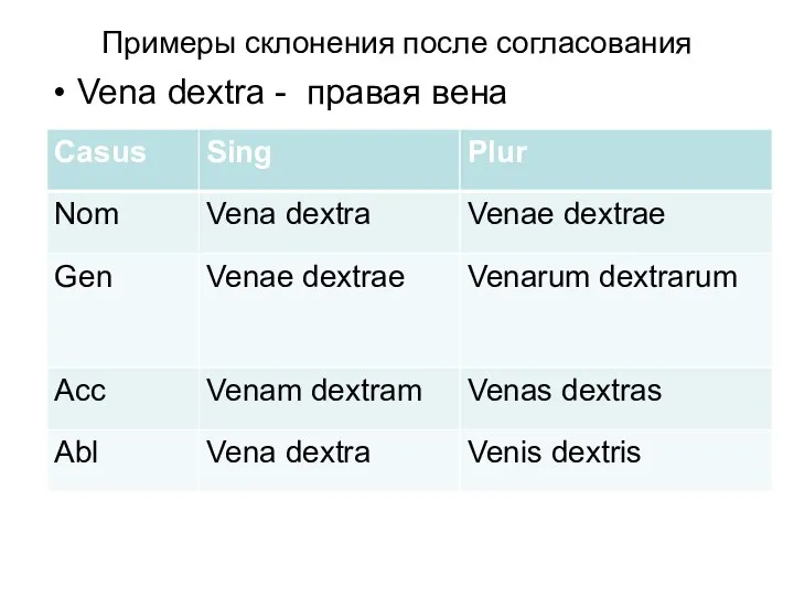 Примеры склонения после согласования Vena dextra - правая вена