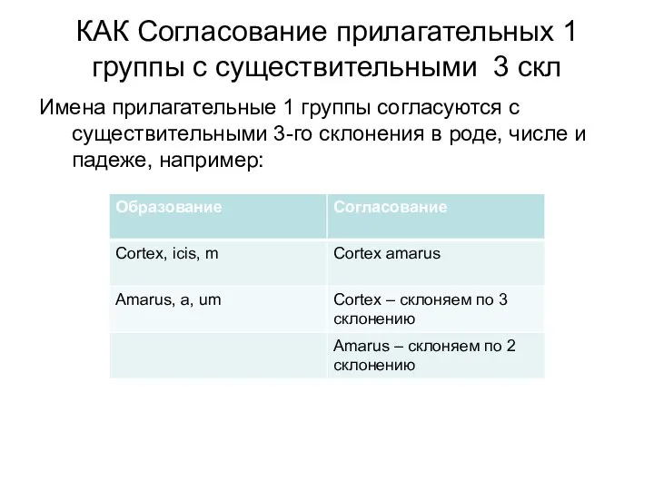 КАК Согласование прилагательных 1 группы с существительными 3 скл Имена прилагательные