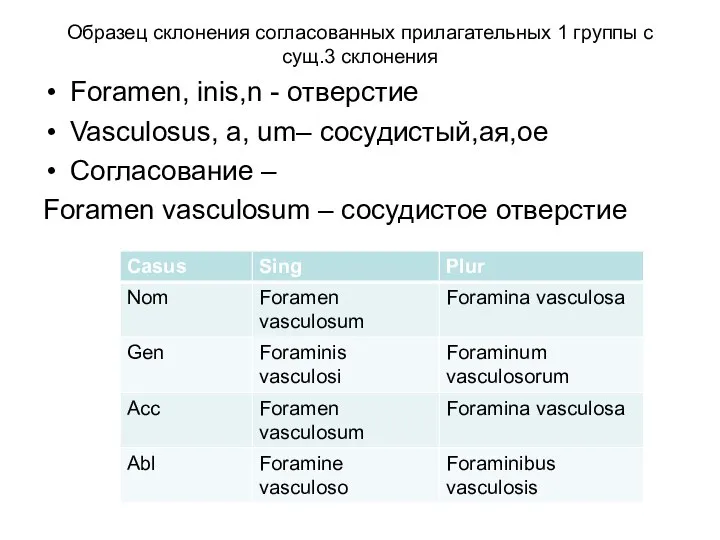 Образец склонения согласованных прилагательных 1 группы с сущ.3 склонения Foramen, inis,n