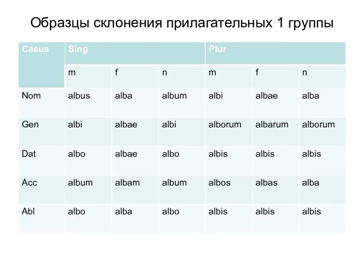 Образцы склонения прилагательных 1 группы