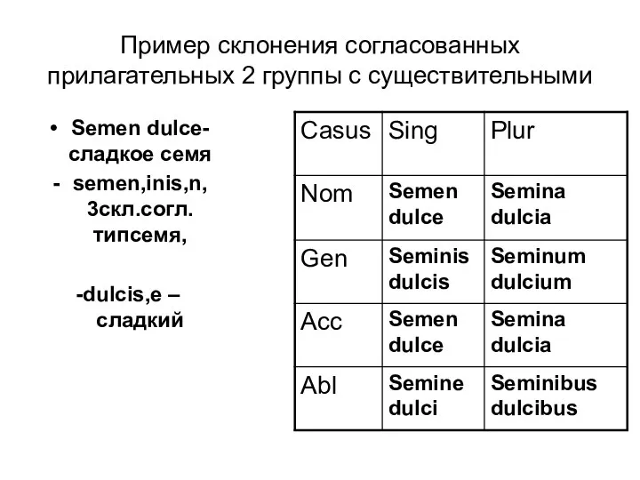 Пример склонения согласованных прилагательных 2 группы с существительными Semen dulce- сладкое