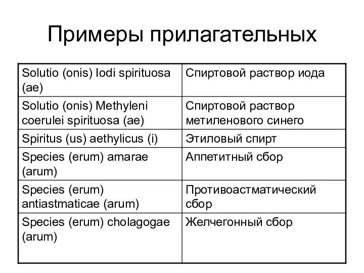 Примеры прилагательных