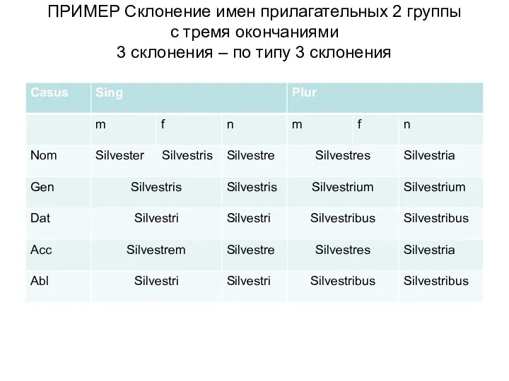 ПРИМЕР Склонение имен прилагательных 2 группы c тремя окончаниями 3 склонения – по типу 3 склонения