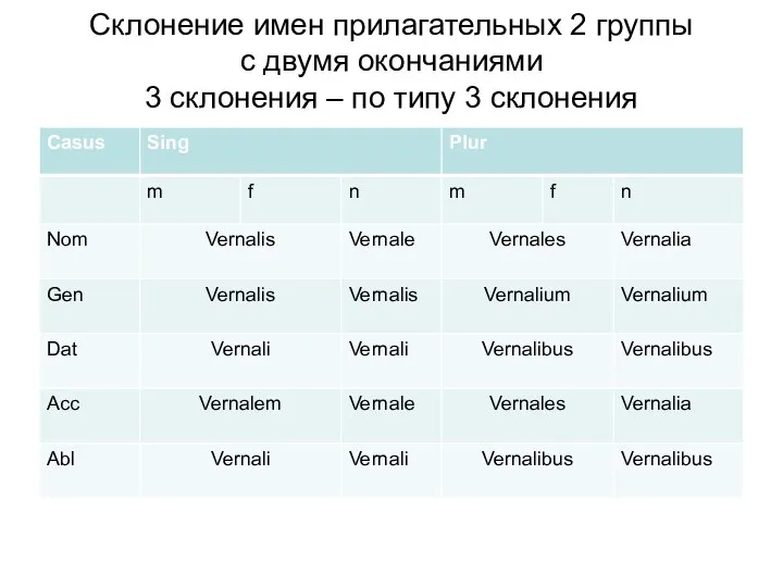 Склонение имен прилагательных 2 группы c двумя окончаниями 3 склонения – по типу 3 склонения