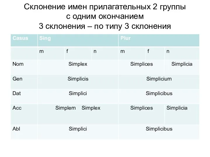 Склонение имен прилагательных 2 группы c одним окончанием 3 склонения – по типу 3 склонения