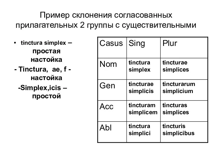 Пример склонения согласованных прилагательных 2 группы с существительными tinctura simplex –