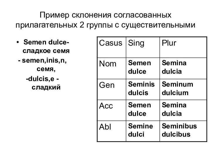 Пример склонения согласованных прилагательных 2 группы с существительными Semen dulce- сладкое