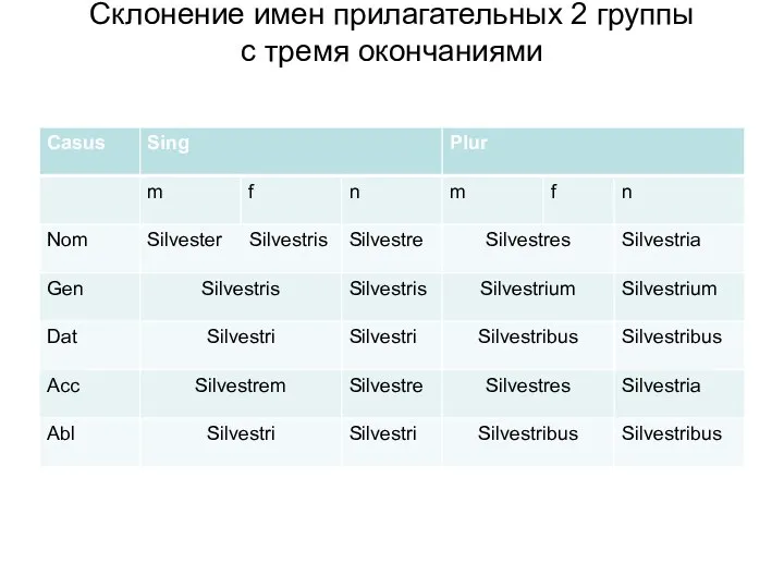 Склонение имен прилагательных 2 группы c тремя окончаниями