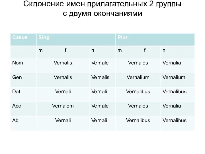 Склонение имен прилагательных 2 группы c двумя окончаниями