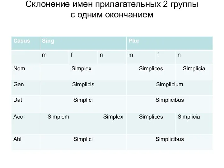 Склонение имен прилагательных 2 группы c одним окончанием