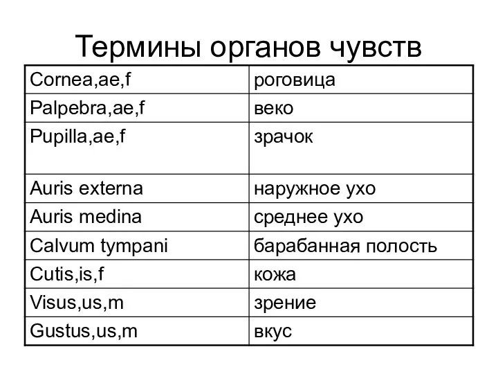 Термины органов чувств