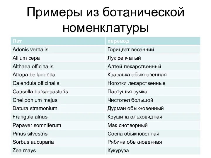 Примеры из ботанической номенклатуры