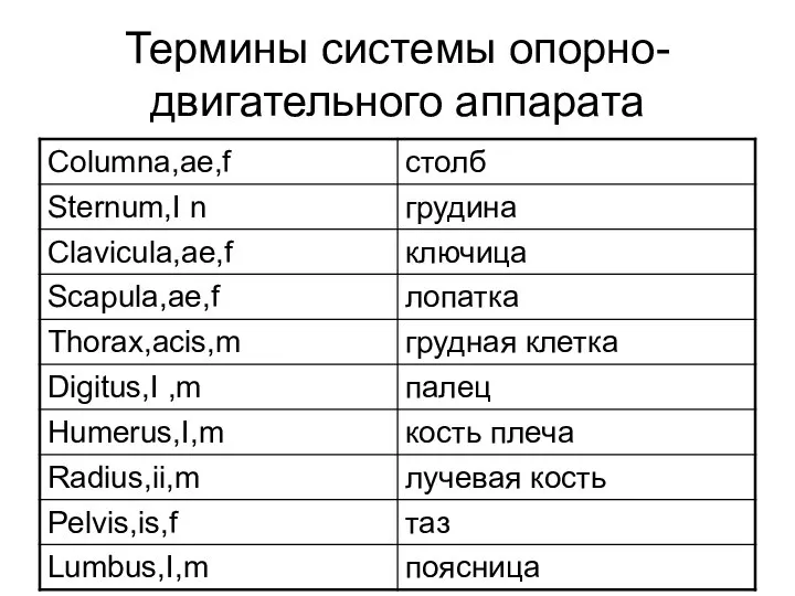 Термины системы опорно-двигательного аппарата