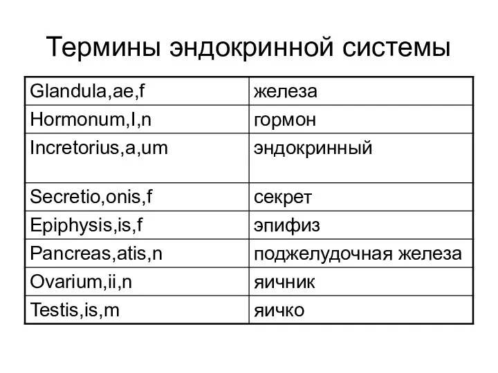 Термины эндокринной системы