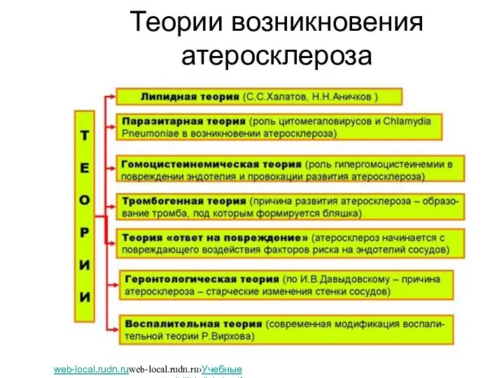 Теории возникновения атеросклероза web-local.rudn.ruweb-local.rudn.ru›Учебные ресурсы›autor/bilibin/lekt1.pdf