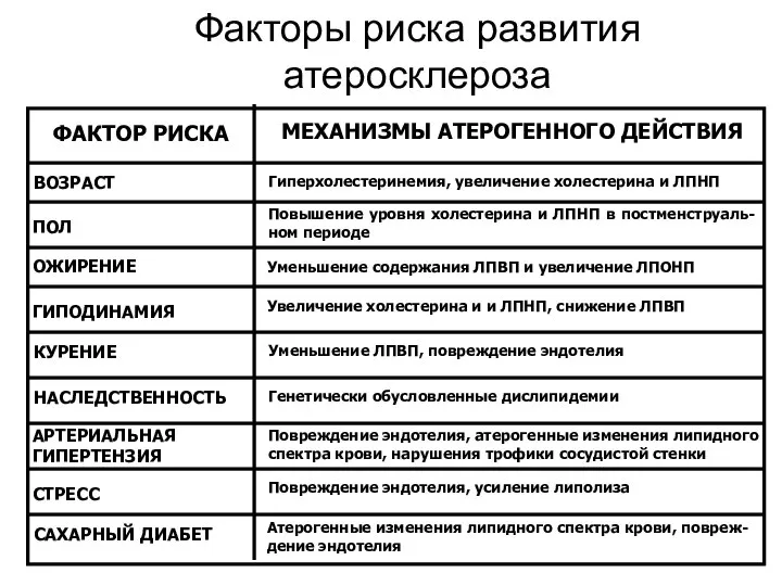 Факторы риска развития атеросклероза ФАКТОР РИСКА МЕХАНИЗМЫ АТЕРОГЕННОГО ДЕЙСТВИЯ ВОЗРАСТ Гиперхолестеринемия,