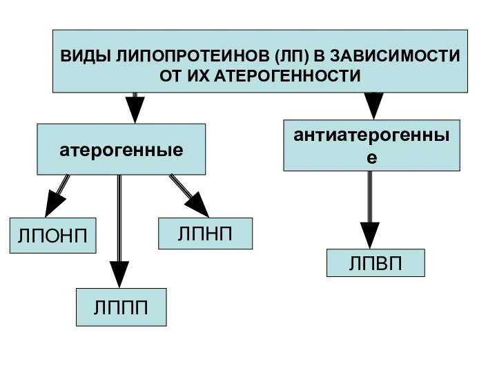 ВИДЫ ЛИПОПРОТЕИНОВ (ЛП) В ЗАВИСИМОСТИ ОТ ИХ АТЕРОГЕННОСТИ атерогенные антиатерогенные ЛПОНП ЛПНП ЛППП ЛПВП