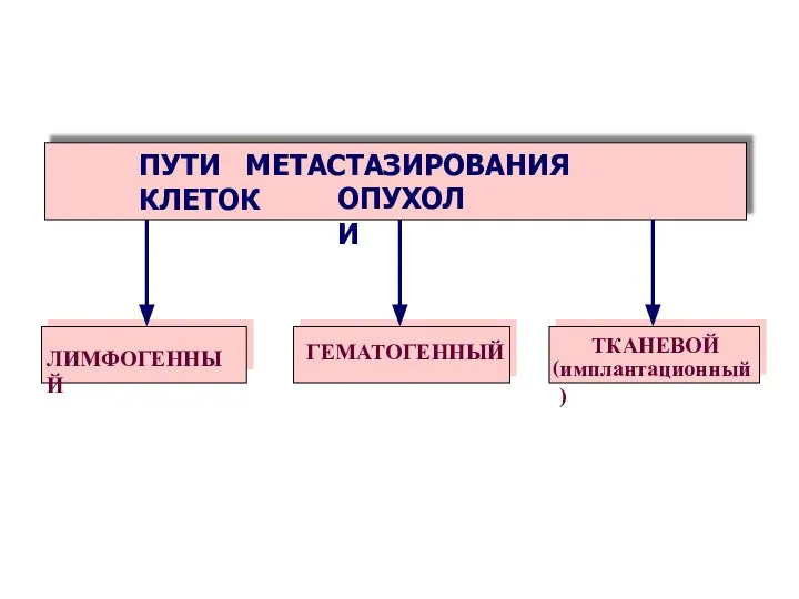 ПУТИ МЕТАСТАЗИРОВАНИЯ КЛЕТОК ОПУХОЛИ ЛИМФОГЕННЫЙ ГЕМАТОГЕННЫЙ ТКАНЕВОЙ ( имплантационный)