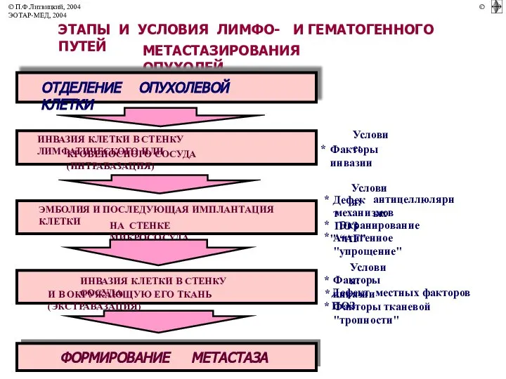 ЭТАПЫ И УСЛОВИЯ ЛИМФО- И ГЕМАТОГЕННОГО ПУТЕЙ МЕТАСТАЗИРОВАНИЯ ОПУХОЛЕЙ ОТДЕЛЕНИЕ ОПУХОЛЕВОЙ