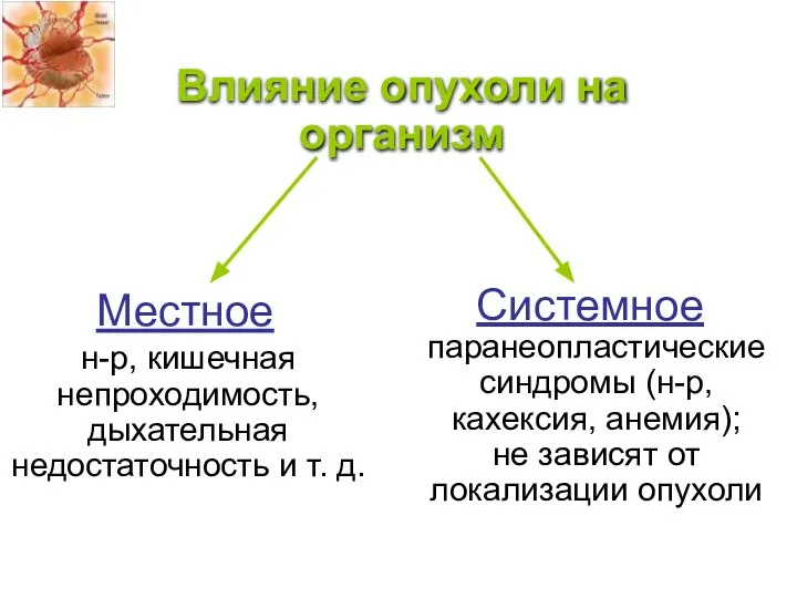 н-р, кишечная непроходимость, дыхательная недостаточность и т. д. Влияние опухоли на