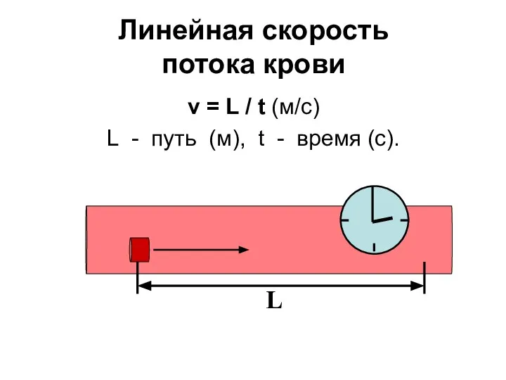 Линейная скорость потока крови v = L / t (м/с) L