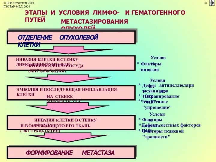 ЭТАПЫ И УСЛОВИЯ ЛИМФО- И ГЕМАТОГЕННОГО ПУТЕЙ МЕТАСТАЗИРОВАНИЯ ОПУХОЛЕЙ ОТДЕЛЕНИЕ ОПУХОЛЕВОЙ