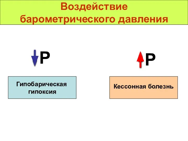 Воздействие барометрического давления P P Гипобарическая гипоксия Кессонная болезнь