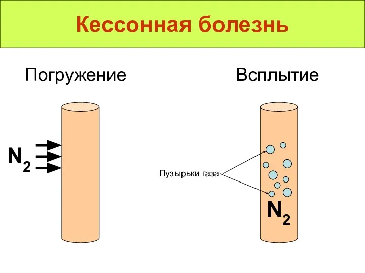 Кессонная болезнь N2 Погружение Всплытие N2 Пузырьки газа