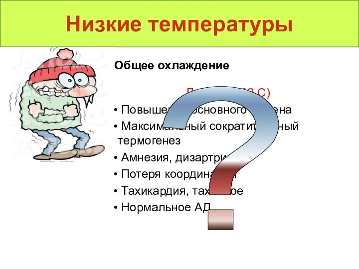 Низкие температуры Общее охлаждение Легкая (> 32 C) Повышение основного обмена