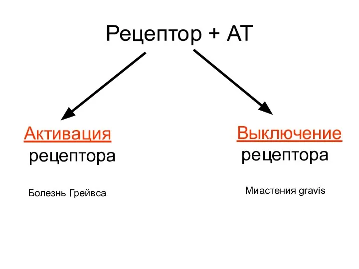 Рецептор + АТ Активация рецептора Выключение рецептора Болезнь Грейвса Миастения gravis