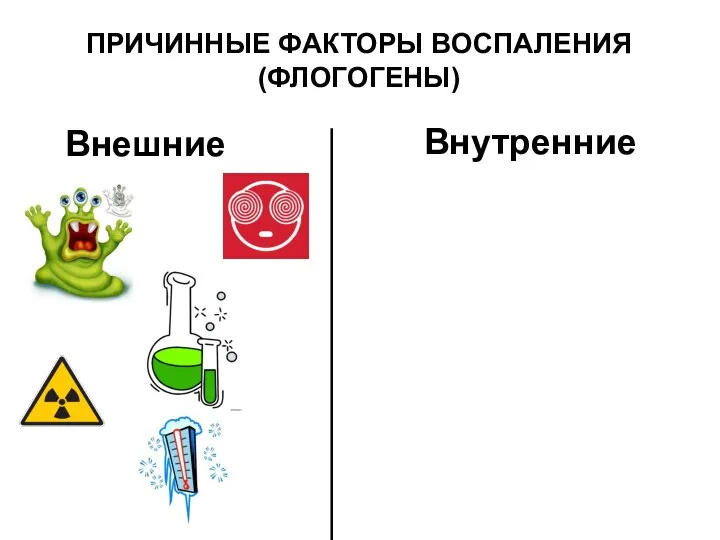 ПРИЧИННЫЕ ФАКТОРЫ ВОСПАЛЕНИЯ (ФЛОГОГЕНЫ) Внешние Внутренние